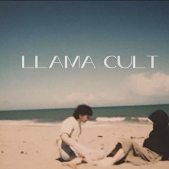 Llama Cult