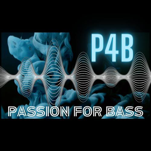 passion for bass’s avatar