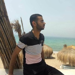 mohamed bashir