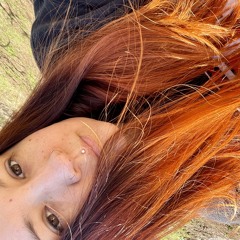 firesunwatermoon