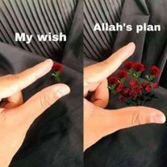 Aya Elaraby