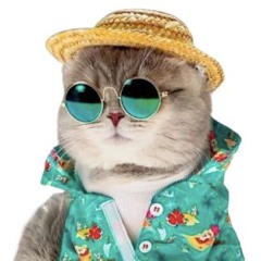 MAU.