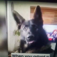 Sh0t