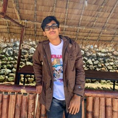 Reynaldipaturusii254