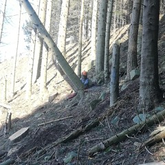 Lumberjack