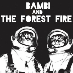 Bambi and the Forest Fire