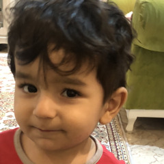 mohammadreza kia