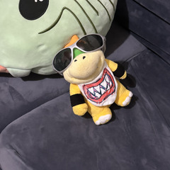 bowser jr