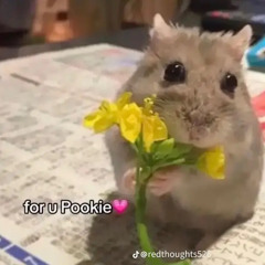 Pookiel3ear
