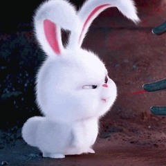 Cookie love you ㅠㅠ