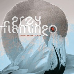Grey Flamingo