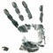 PIT HAND