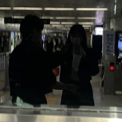 dzwxn