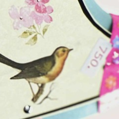 Cura pra quem tá dodói. 🦜