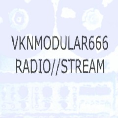 VKNMODULAR666