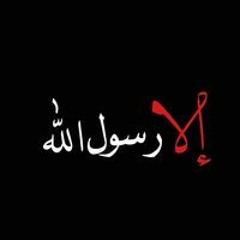 Anas Metwlly