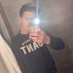 Iq fiskmås