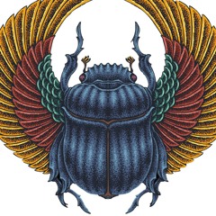 HØMAYØN