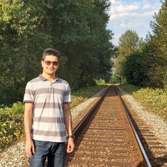 Amir salek