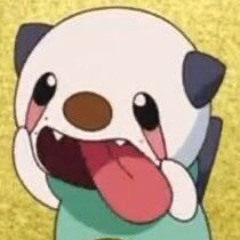 KAMIJJI