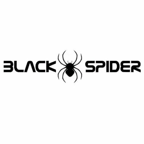 ROSTO THE BLACK SPIDER 🕷️’s avatar