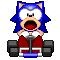 Sonic T. Hedgehog