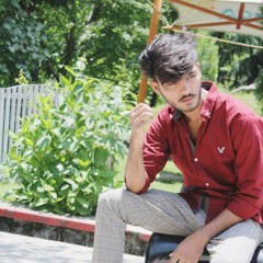 Ali Hamza