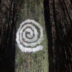 KISSТКИ ВЩЕНТ!