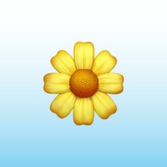 Kriss Flowerboy