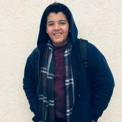 Ahmed abed