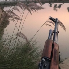 Problemático 🇯🇲