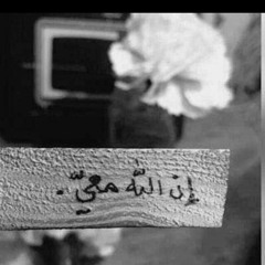 zainap elmahdy