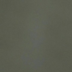 Mohammed