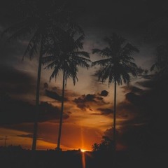 Brian Hau