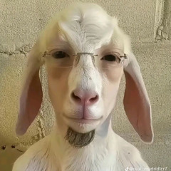 камбойклитер