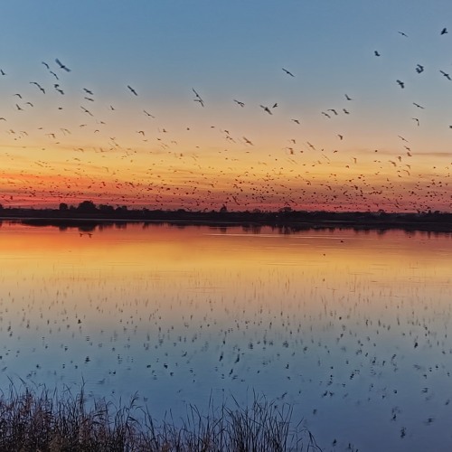 Stream Last Eazy Start Music Listen To Songs Albums Playlists For