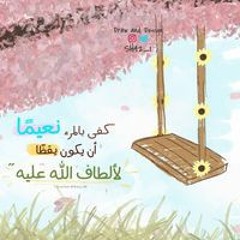 Hadeer Abou Elhamd