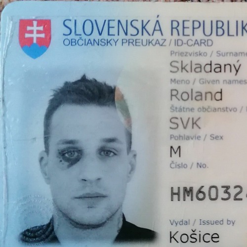 Roland Skladaný’s avatar