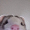 밍수잉데요