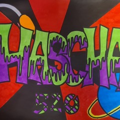 Hascha 520