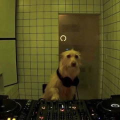 roccoespiritututututu