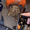 christian_reink