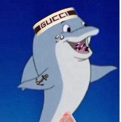 Skipper a.k.a. ChaosJunge