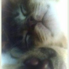 арина 🐈‍⬛