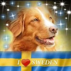Lena Fjellstedt