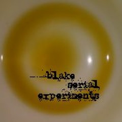 Blake Serial Experiments