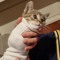 tommy_pyrozok