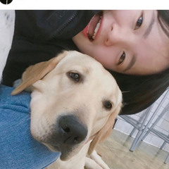 은행🍏