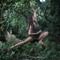 Melissa Wyld