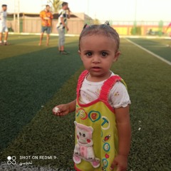 Sameh Alsmaloussi